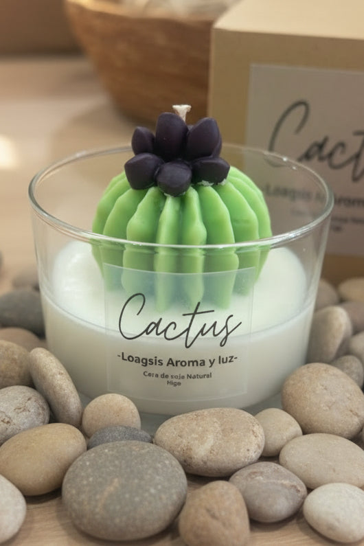 Vela cactus Higo