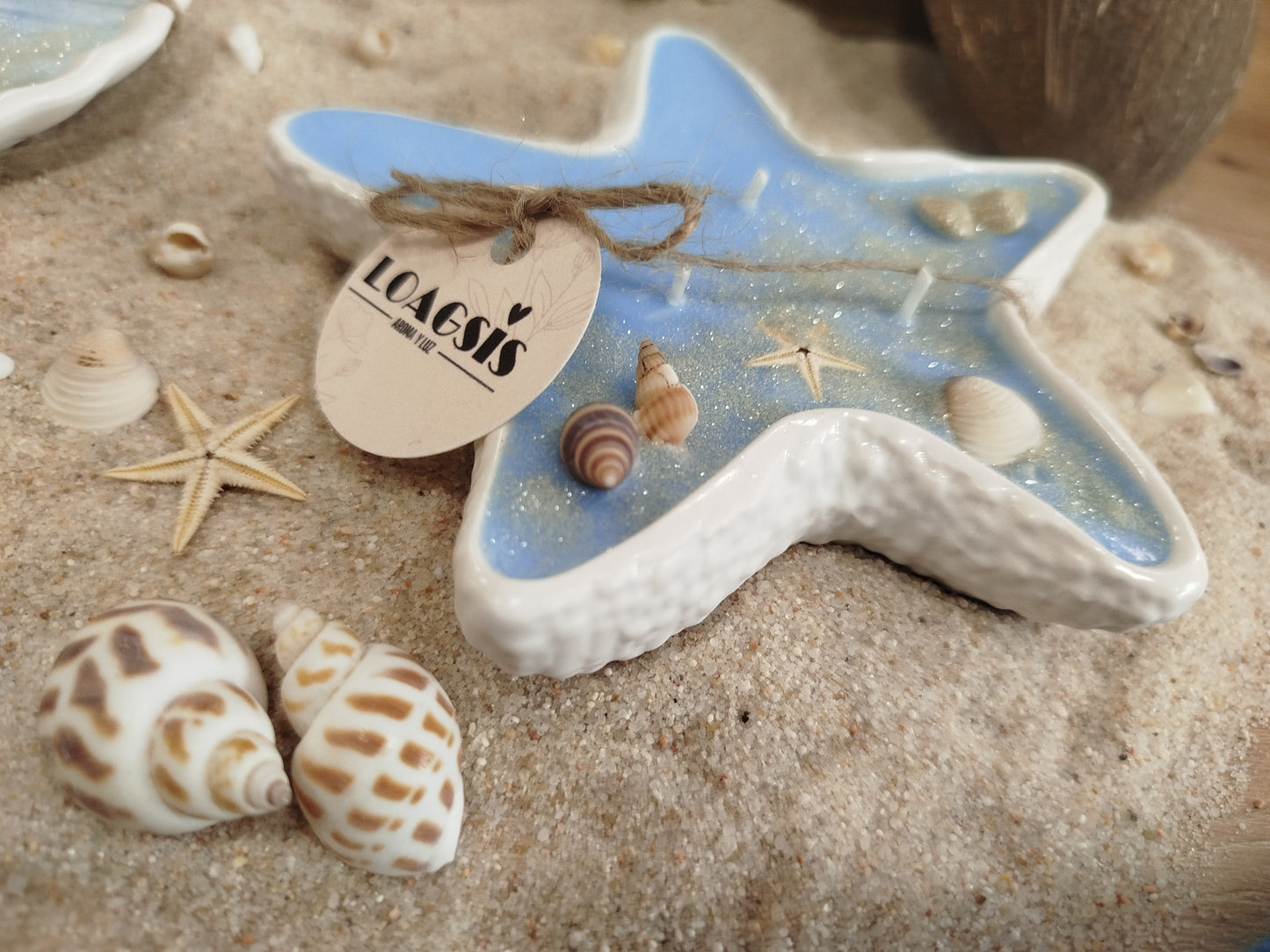 Vela estrella de mar