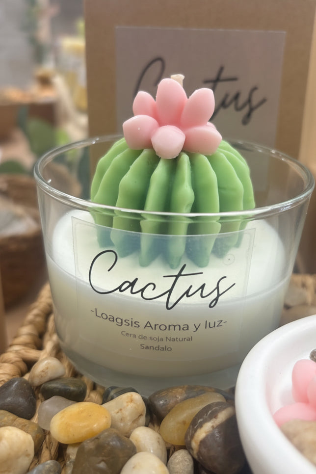 Vela cactus sándalo