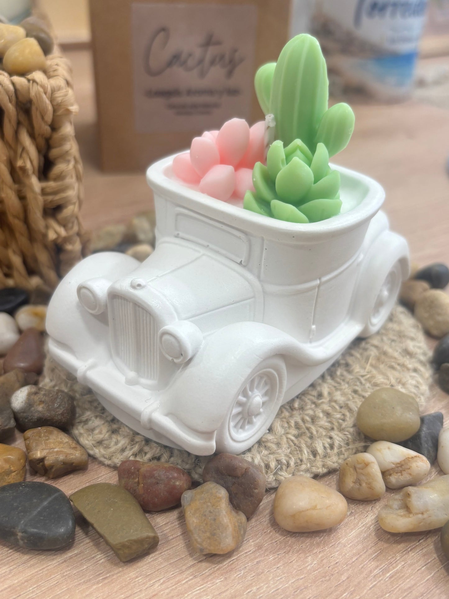 Coche vintage cactus
