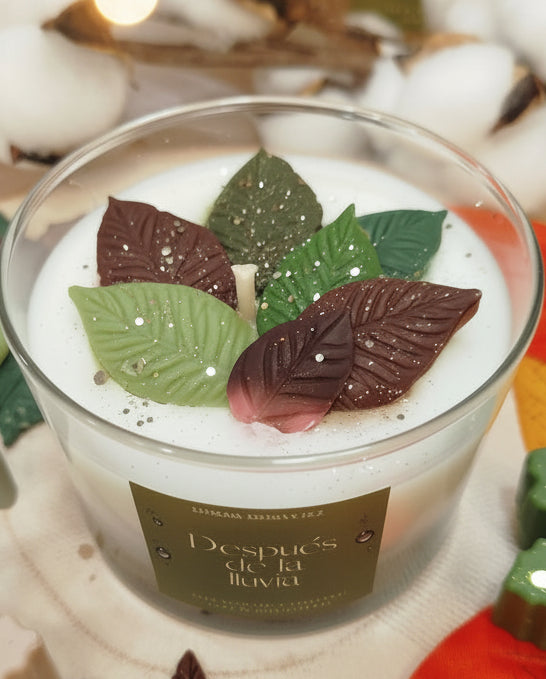 Vela aromática "después de la lluvia"